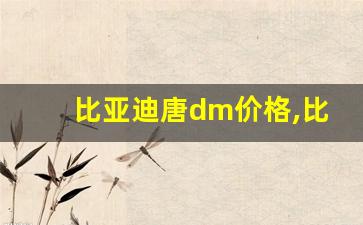 比亚迪唐dm价格,比亚迪 唐 DM